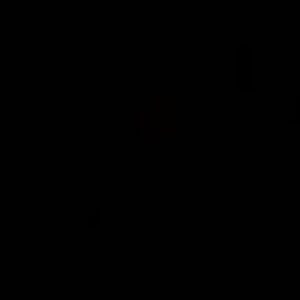 Meet your Posher, Gabriel